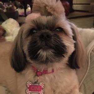 Meet your Posher, Penny